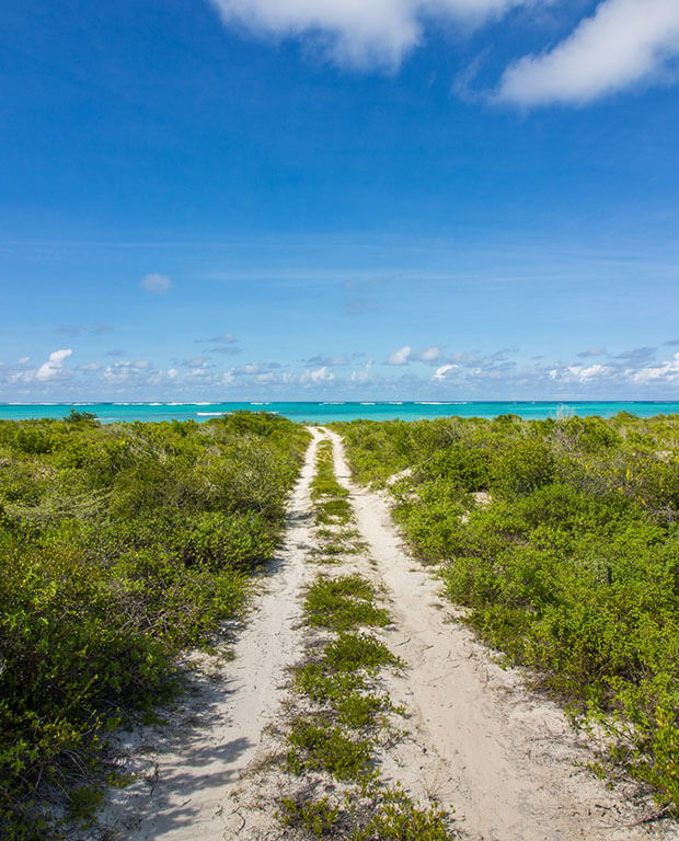 Anegada Anegada