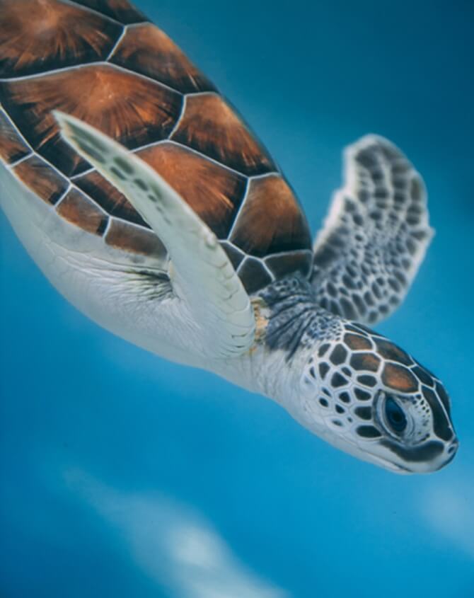 Conservation Matters Conservation Matters