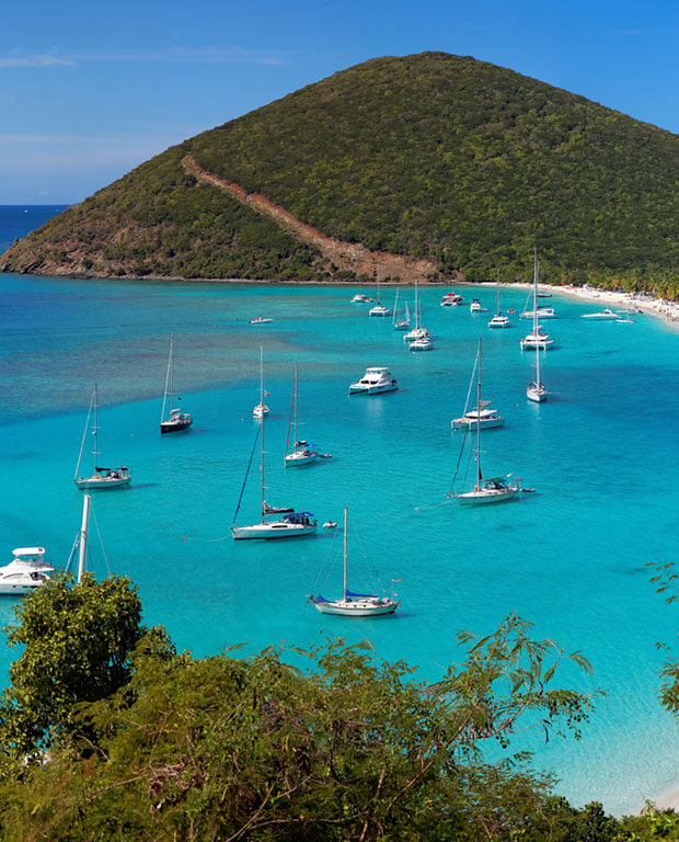 Tortola Tortola