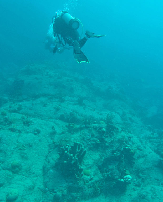 Snorkeling