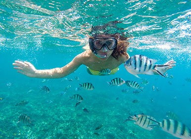 Swim & snorkel at the Indians Swim & snorkel at the Indians